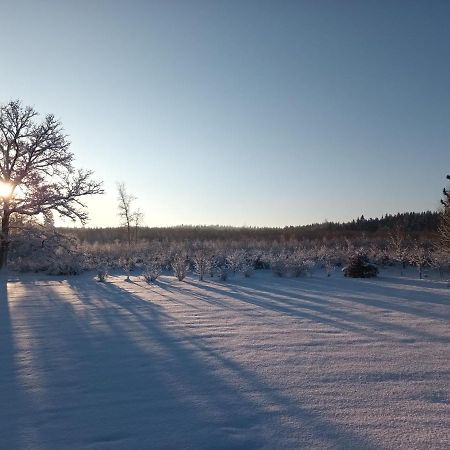 L'Antre Parenthese Villa Grand-Halleux Luaran gambar