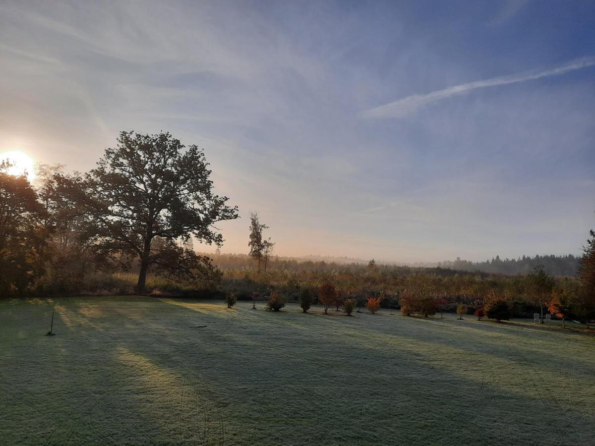 L'Antre Parenthese Villa Grand-Halleux Luaran gambar