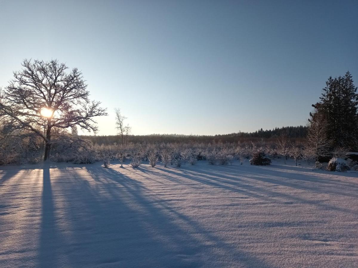 L'Antre Parenthese Villa Grand-Halleux Luaran gambar